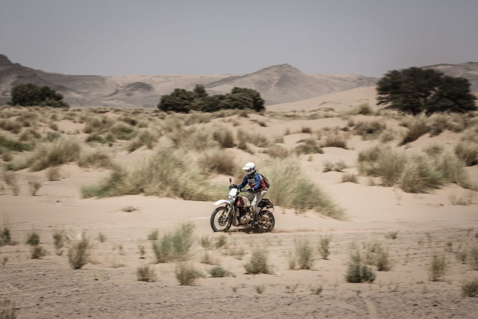 The Royal Enfield Himalayan Efi Desert Racer By Fuel Motorcycles