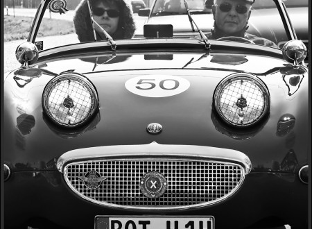 Frogeye Sprite
