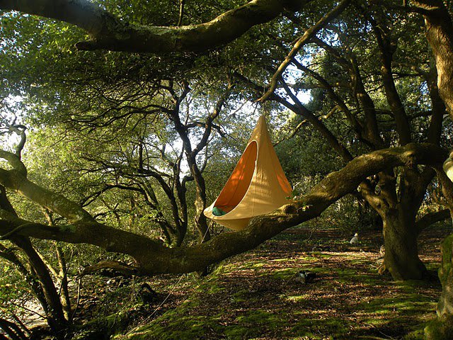 Cacoon Hammock SILODROME