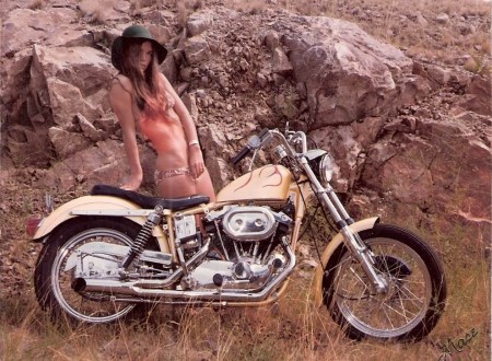 Bikini Biker Motorcycle Girl 450x330 - Bikini Biker