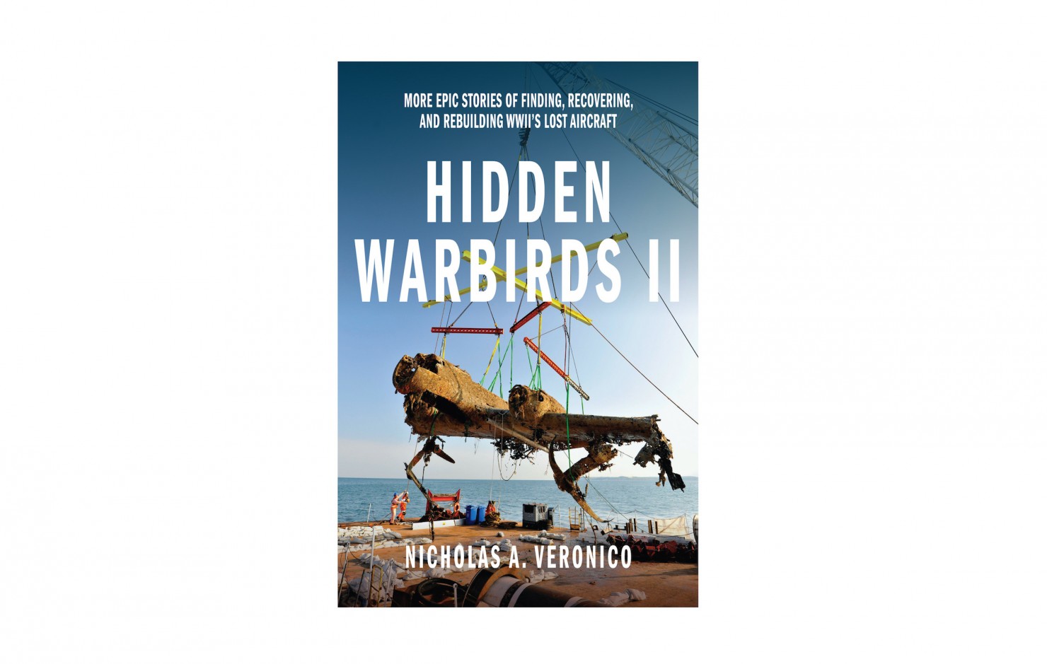 hidden warbirds