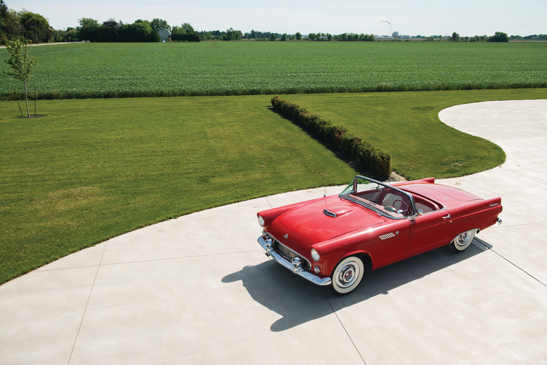 ford thunderbird 1955 red