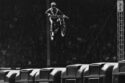 Evel Knievel Wallpaper