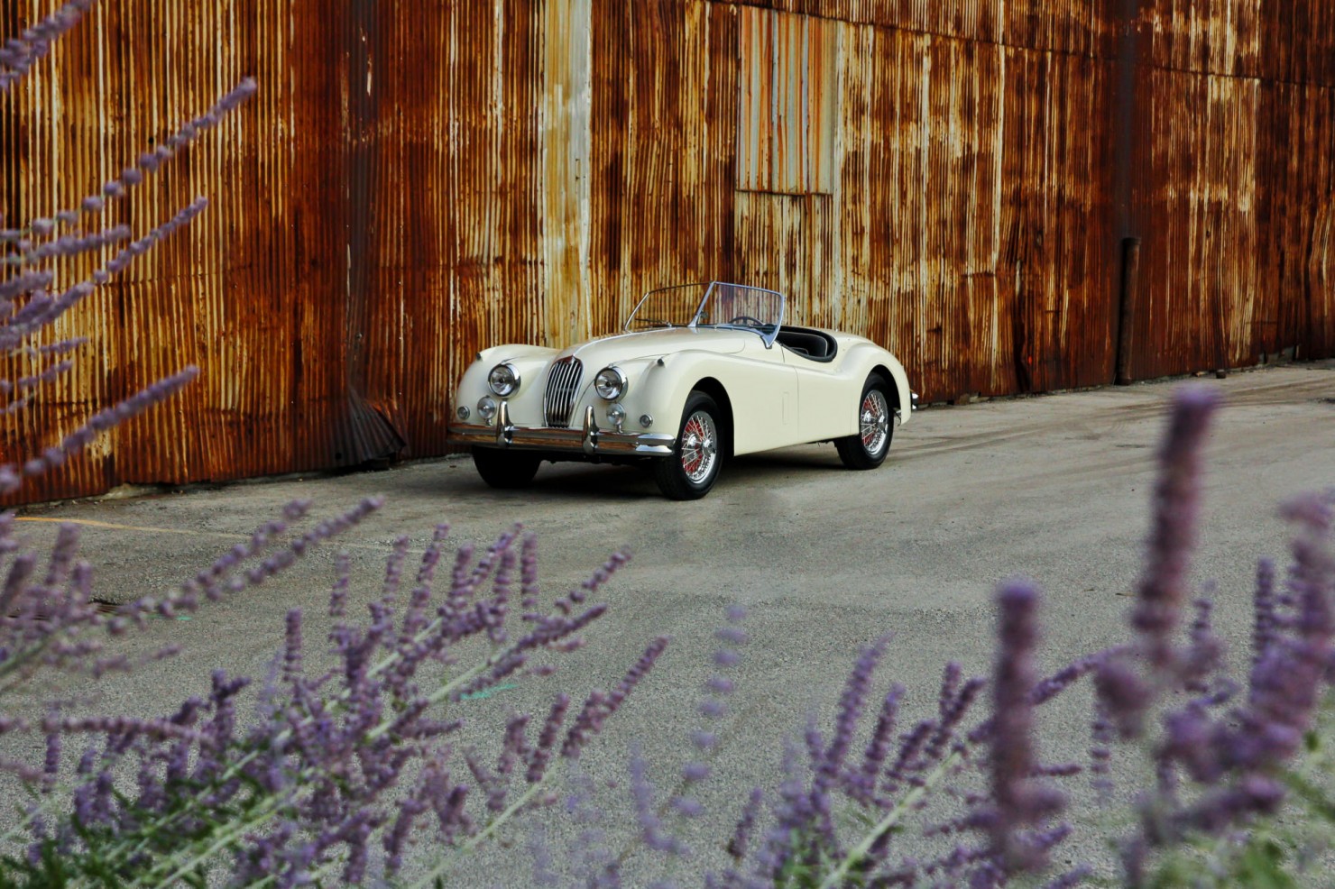 Jaguar_XK140_Car_2