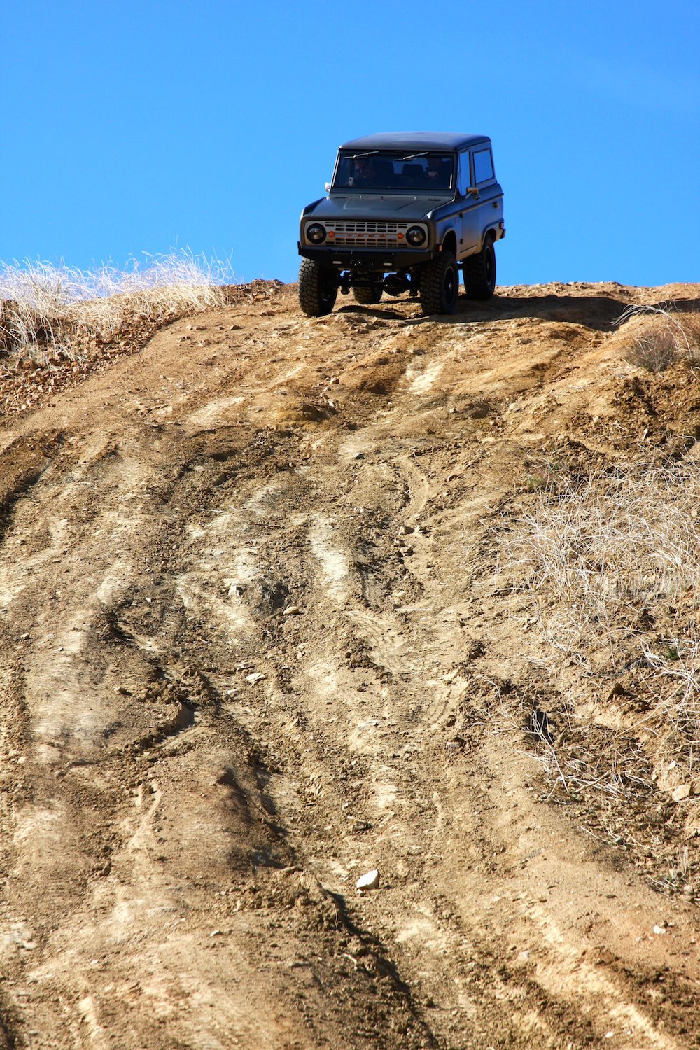 Bronco_Offroad_Hill_Tall