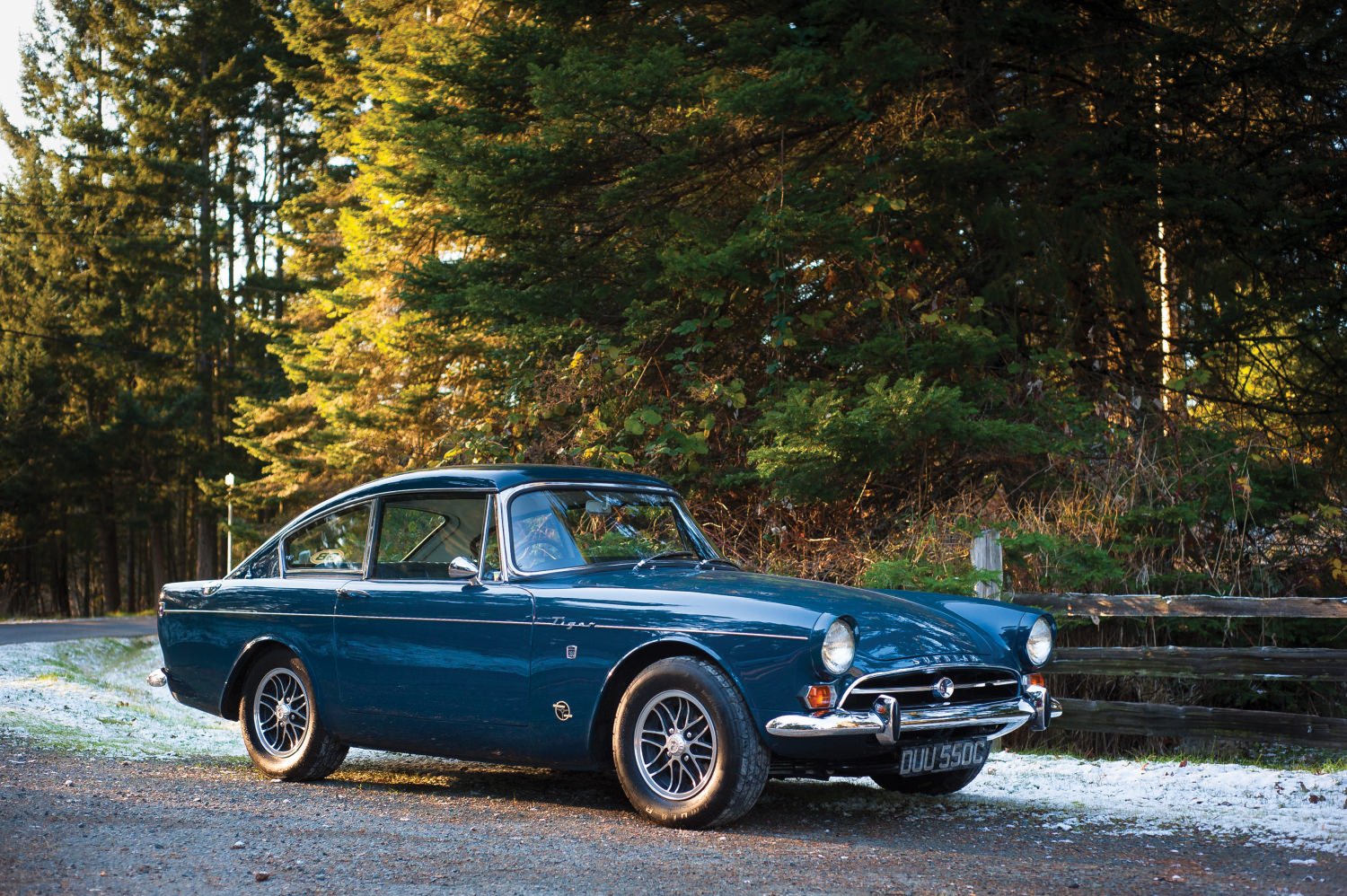 sunbeam-tiger