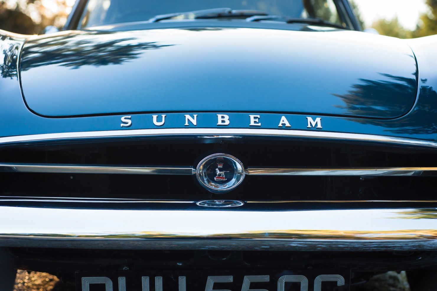 Sunbeam-Tiger-Car-6