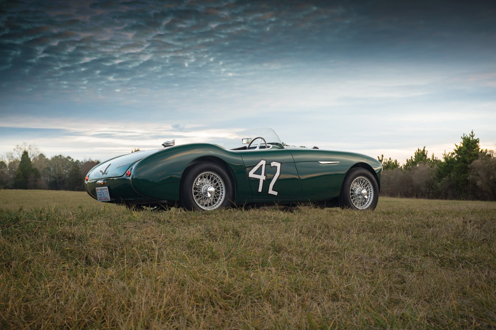 Austin-Healey 100S