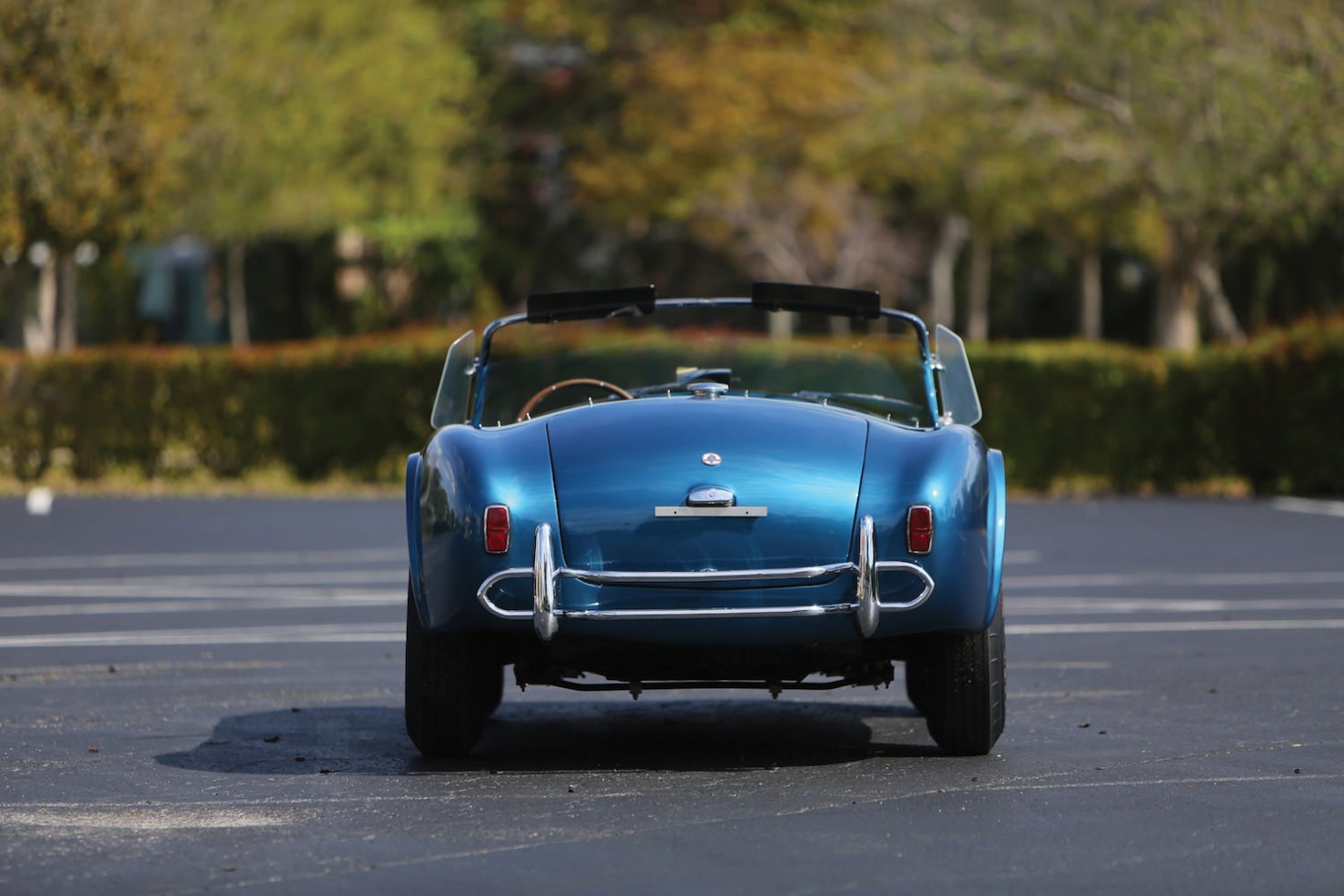 Shelby-Cobra-289-16