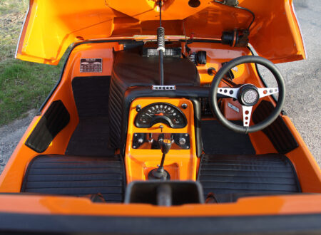 Bond Bug Bond Bug 10 450x330 - Bond Bug
