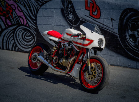 Harley-Davidson Speed Racer Harley Sportster Custom 5 450x330 - Harley-Davidson Speed Racer
