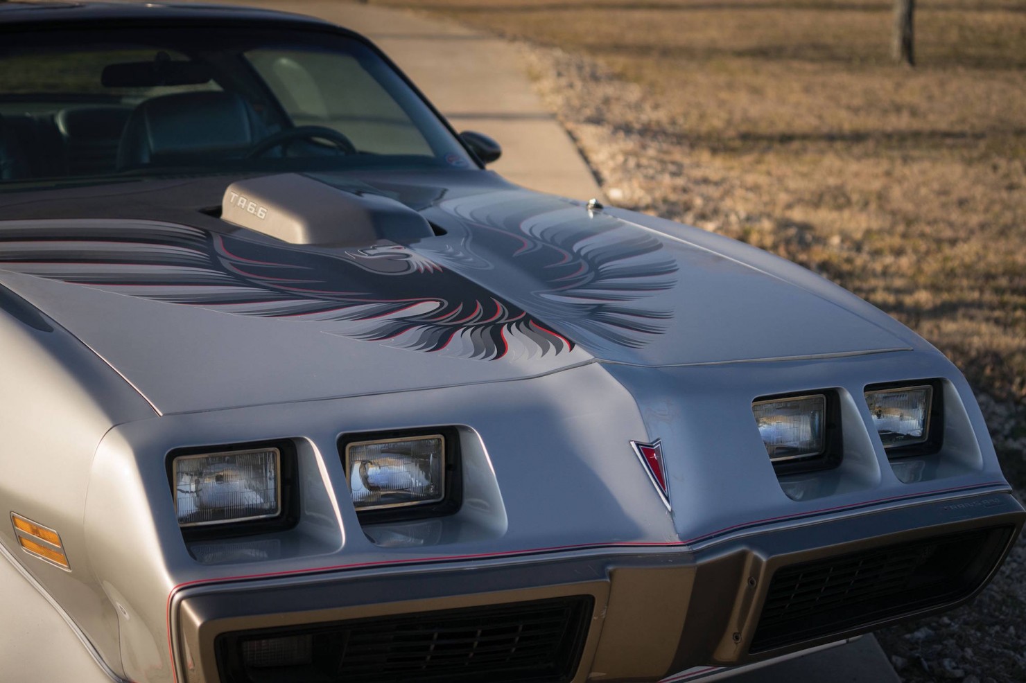 Pontiac-Trans-Am-15