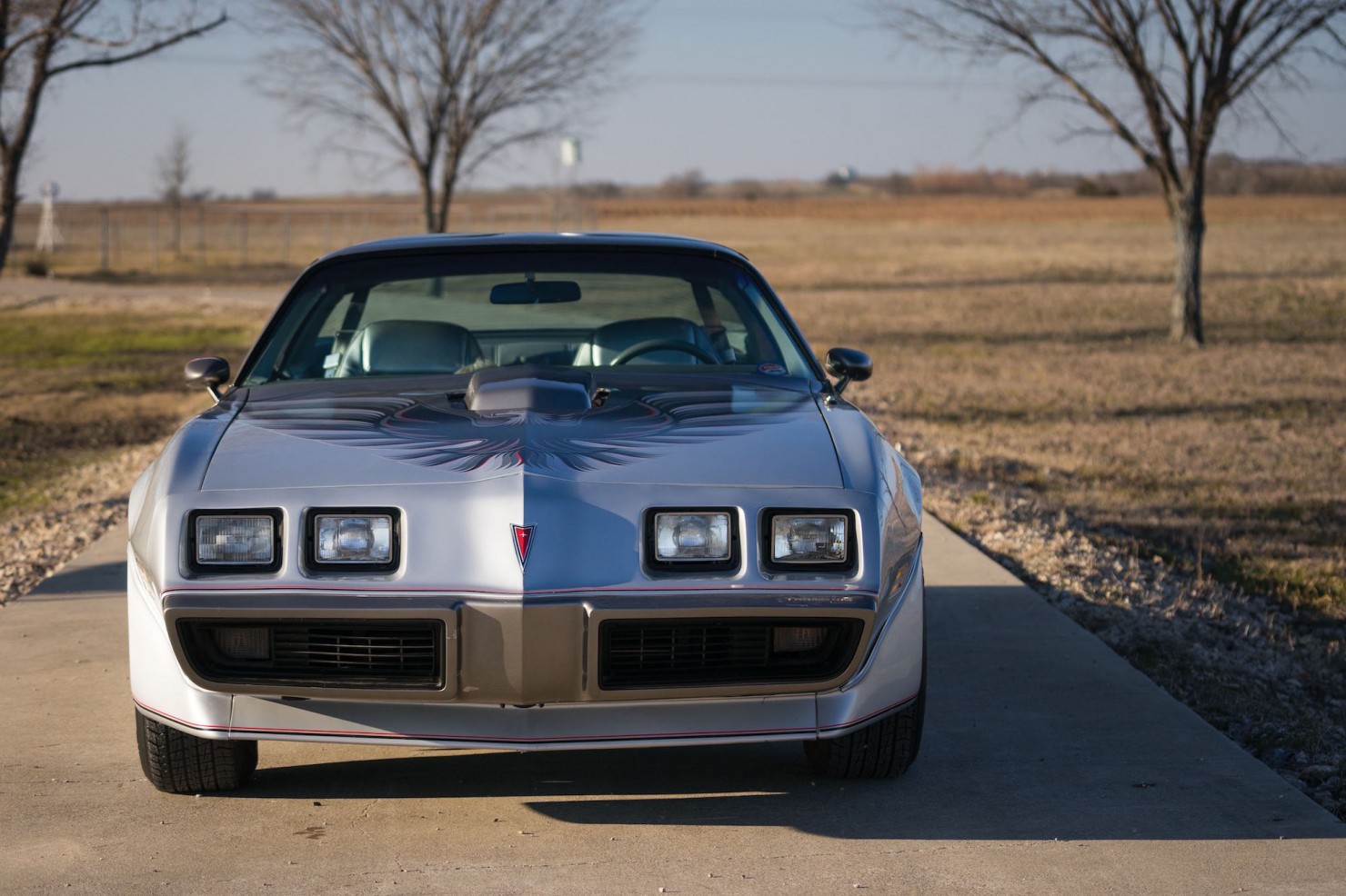 Pontiac-Trans-Am-17