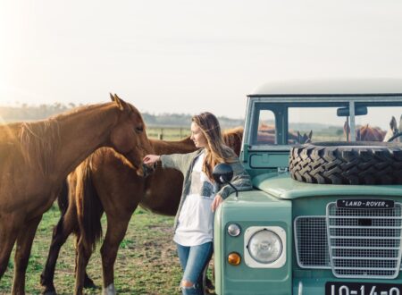 Land Rover Series III Land Rover Series 3 8 450x330 - Land Rover Series III