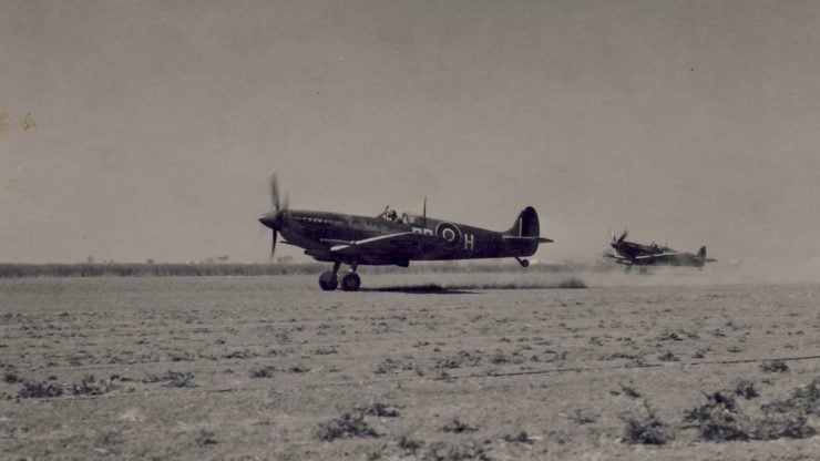 Spitfires