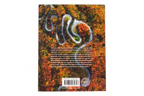 1001 Drives You Must Experience Before You Die - Foreword by Charley