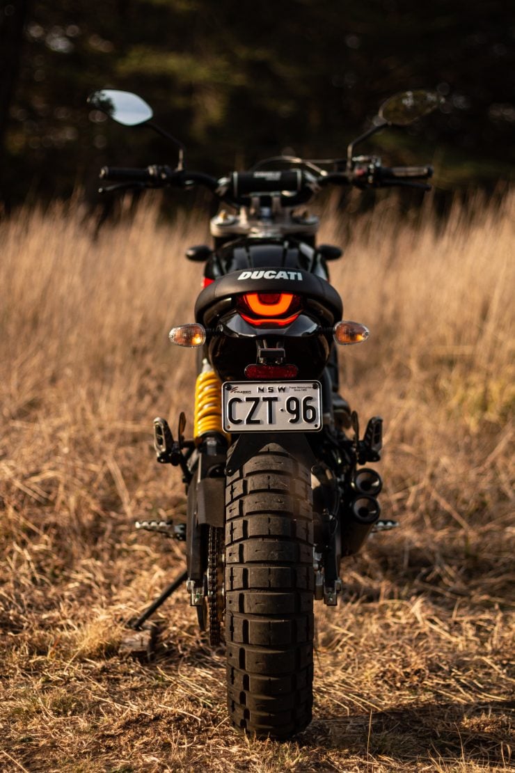 Ducati Scrambler Desert Sled Back