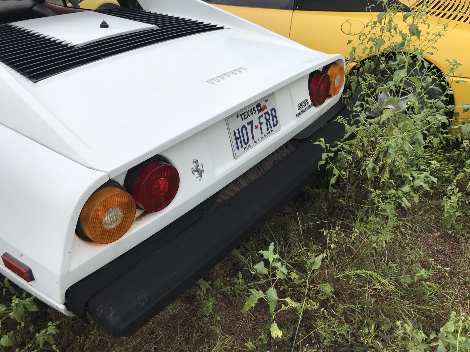 The Field Of Abandoned Ferraris (And How They Got There)