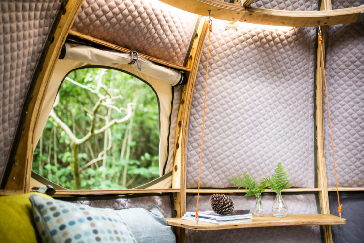 Tree Tent Interior