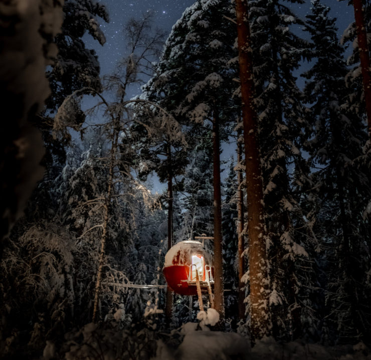 Tree Tent Night