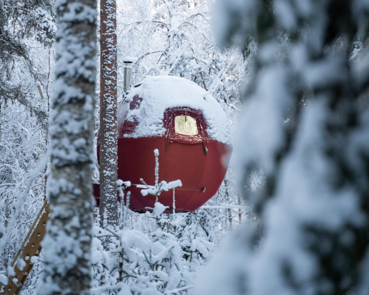 Tree Tent Snow