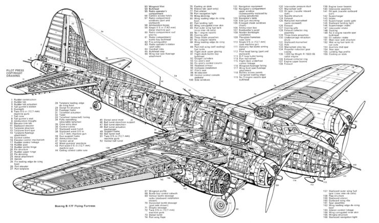 B-17 Flying Fortress Technical Drawing