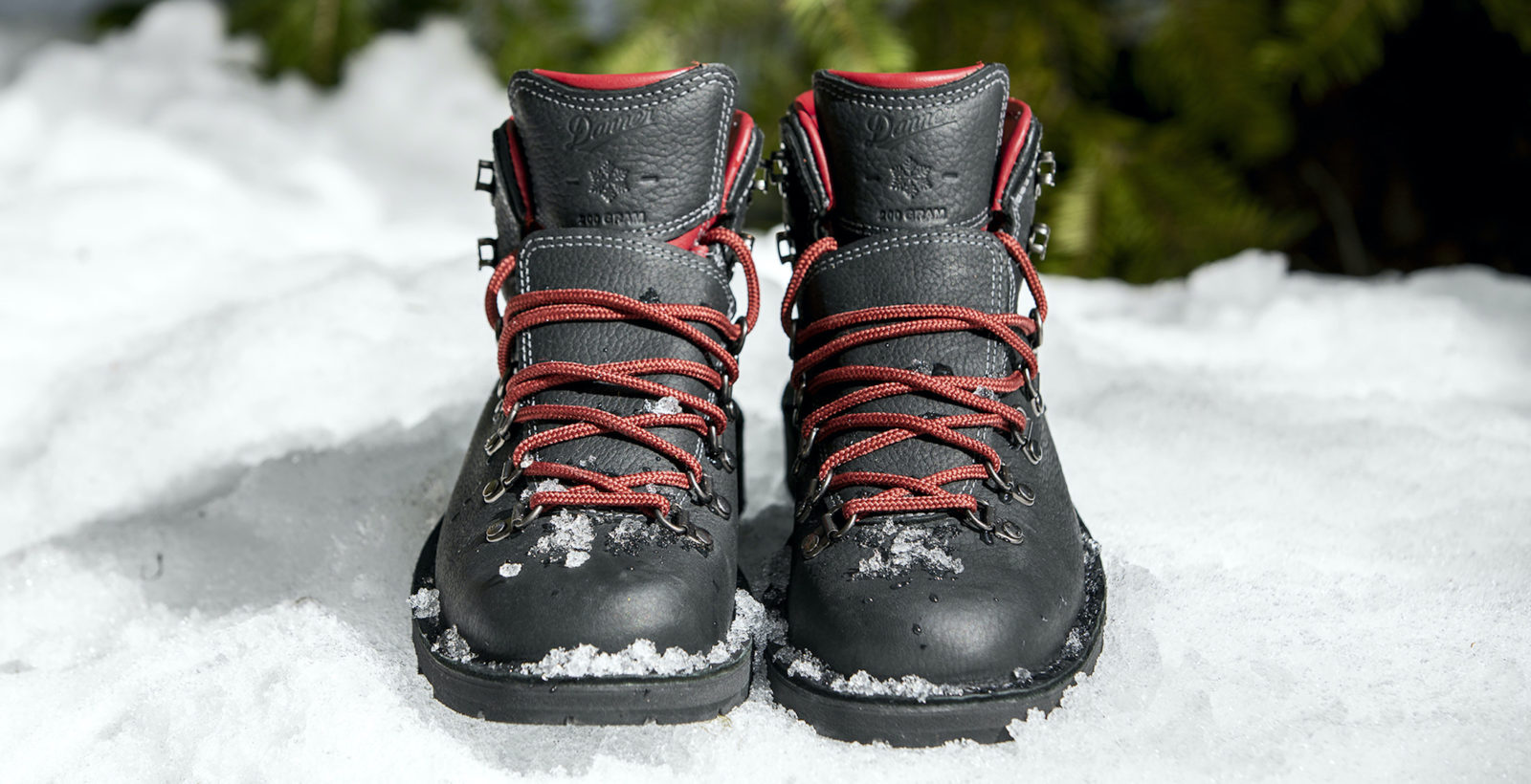 Danner Mountain Pass Boots WinterReady With GoreTex + 200G
