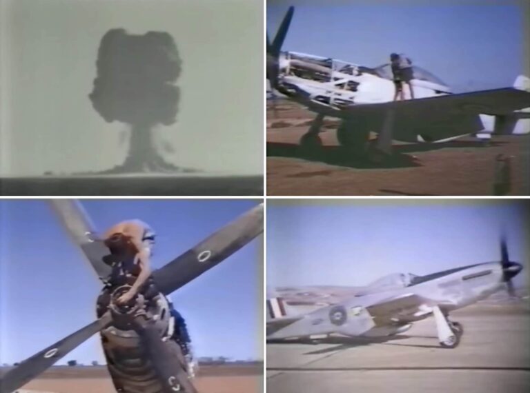 Documentary Rise Like The Phoenix The Recovery Of Six P51 Mustangs