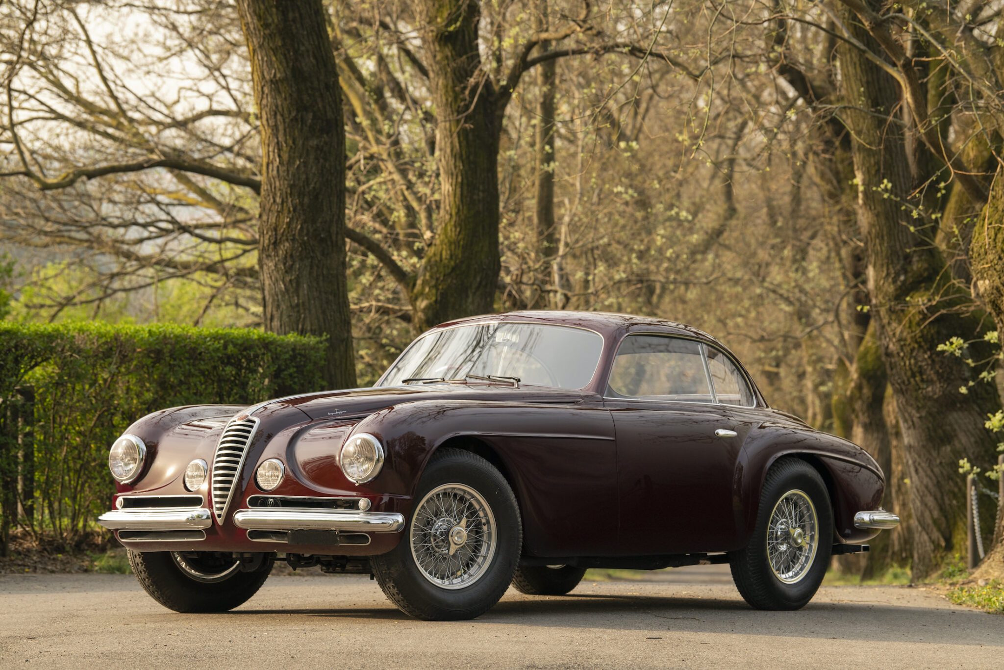 The Most Beautiful Alfa Ever? The Alfa Romeo 6C 2500 SS Villa d'Este