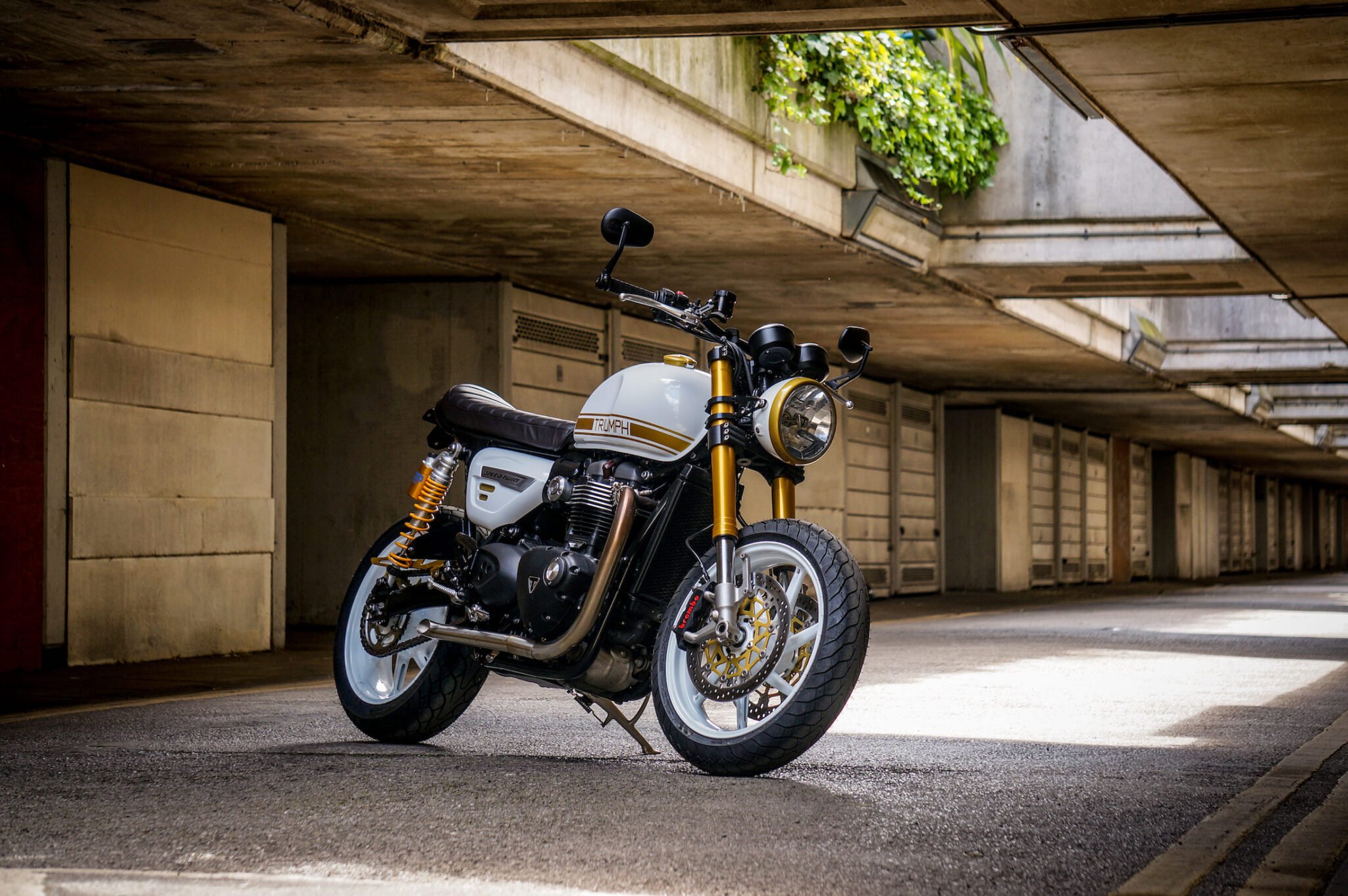 triumph speed twin custom