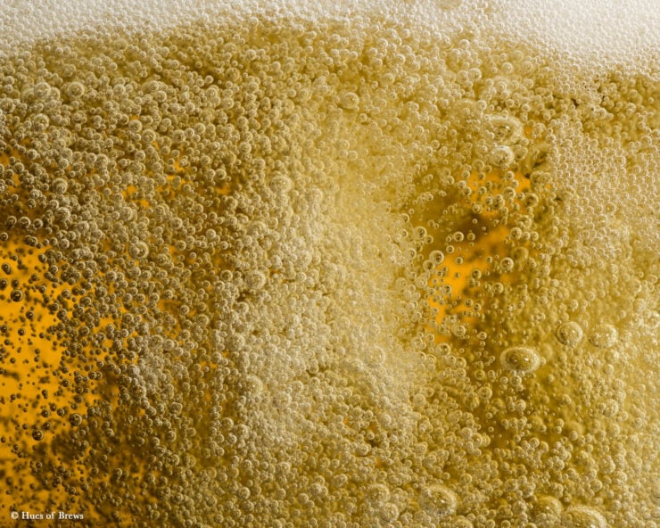 Hues Of Brews – Artistic Photographs Of Beer - Corona