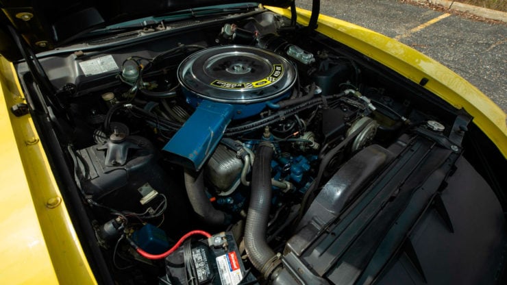 Ford Torino King Cobra 6