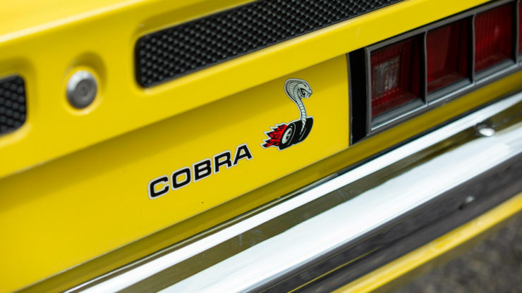 Ford Torino King Cobra 9