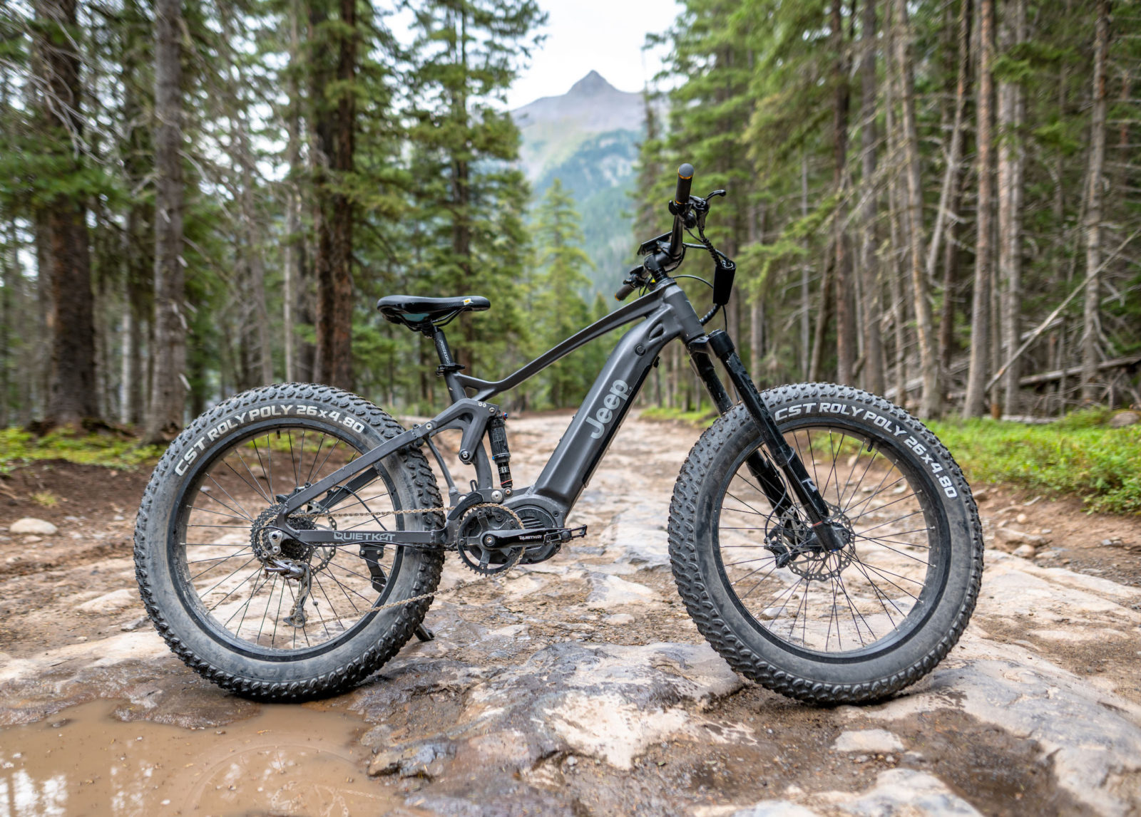 java fat bike