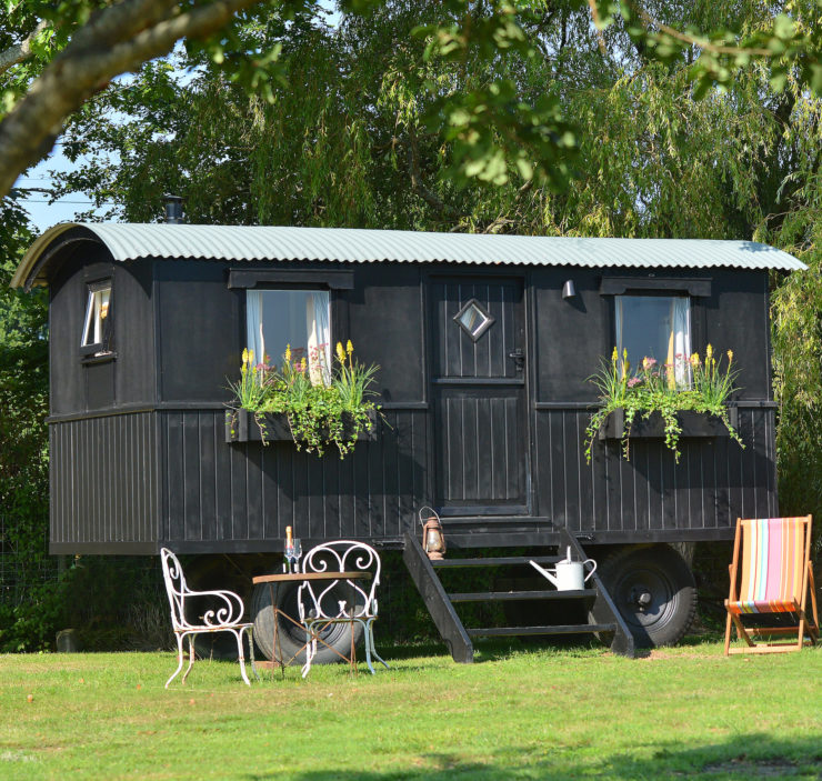 Shepherd's Hut 3