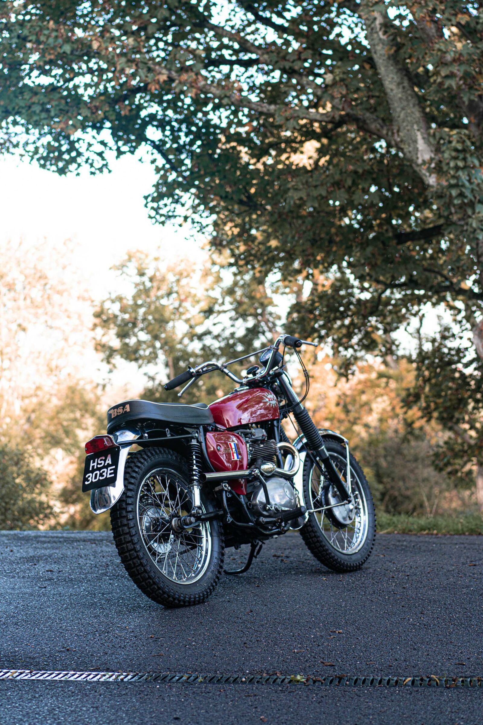 1967 BSA Hornet – A Factory-Built "Desert Sled"