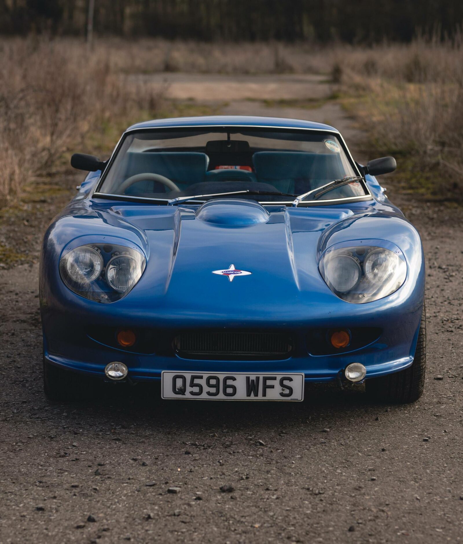 The Marcos Mantula A Rare V8Powered Lotus Killer
