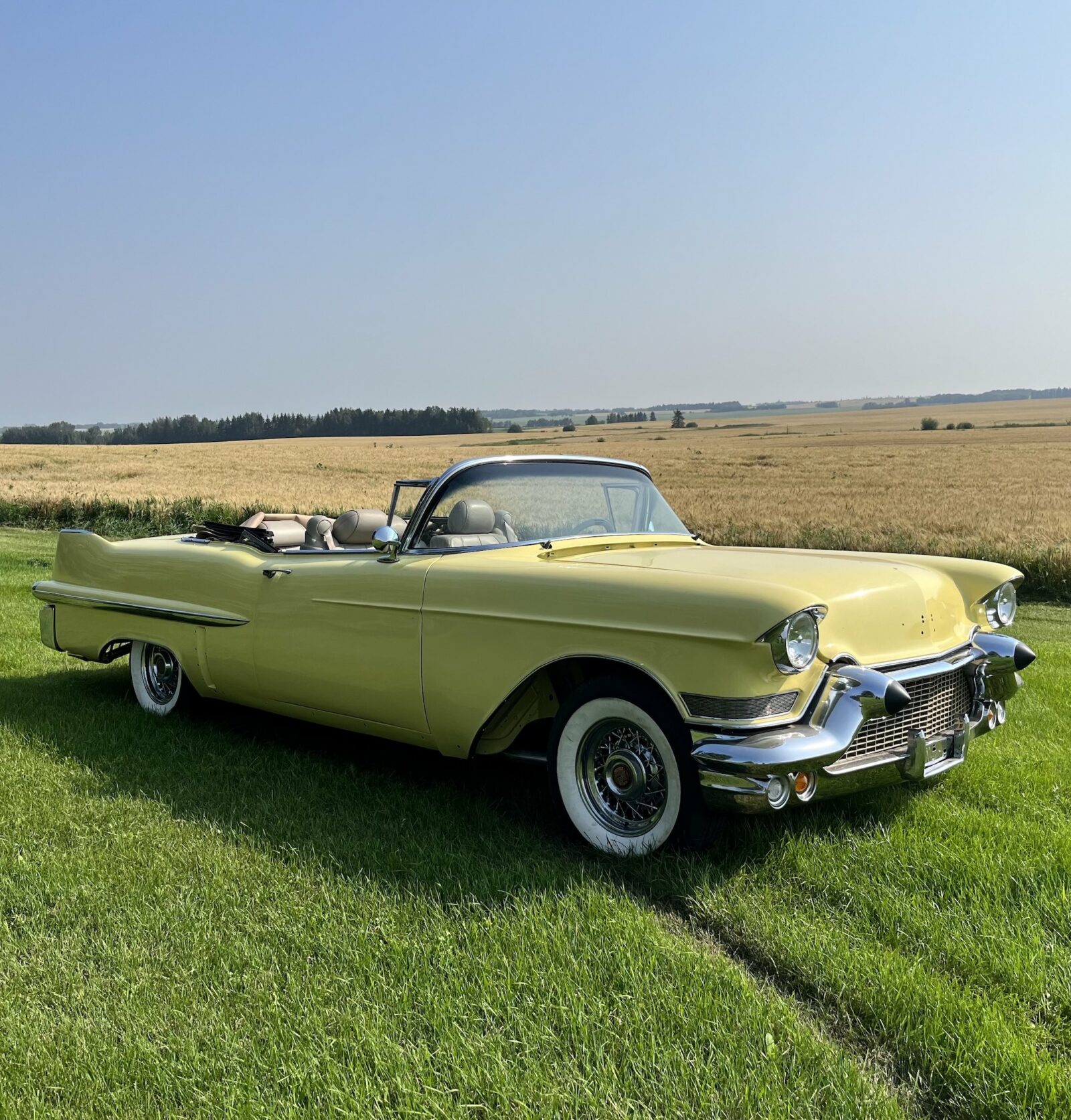 Field Find: 230+ Cars Uncovered On A Canadian Farm – And They're Now ...