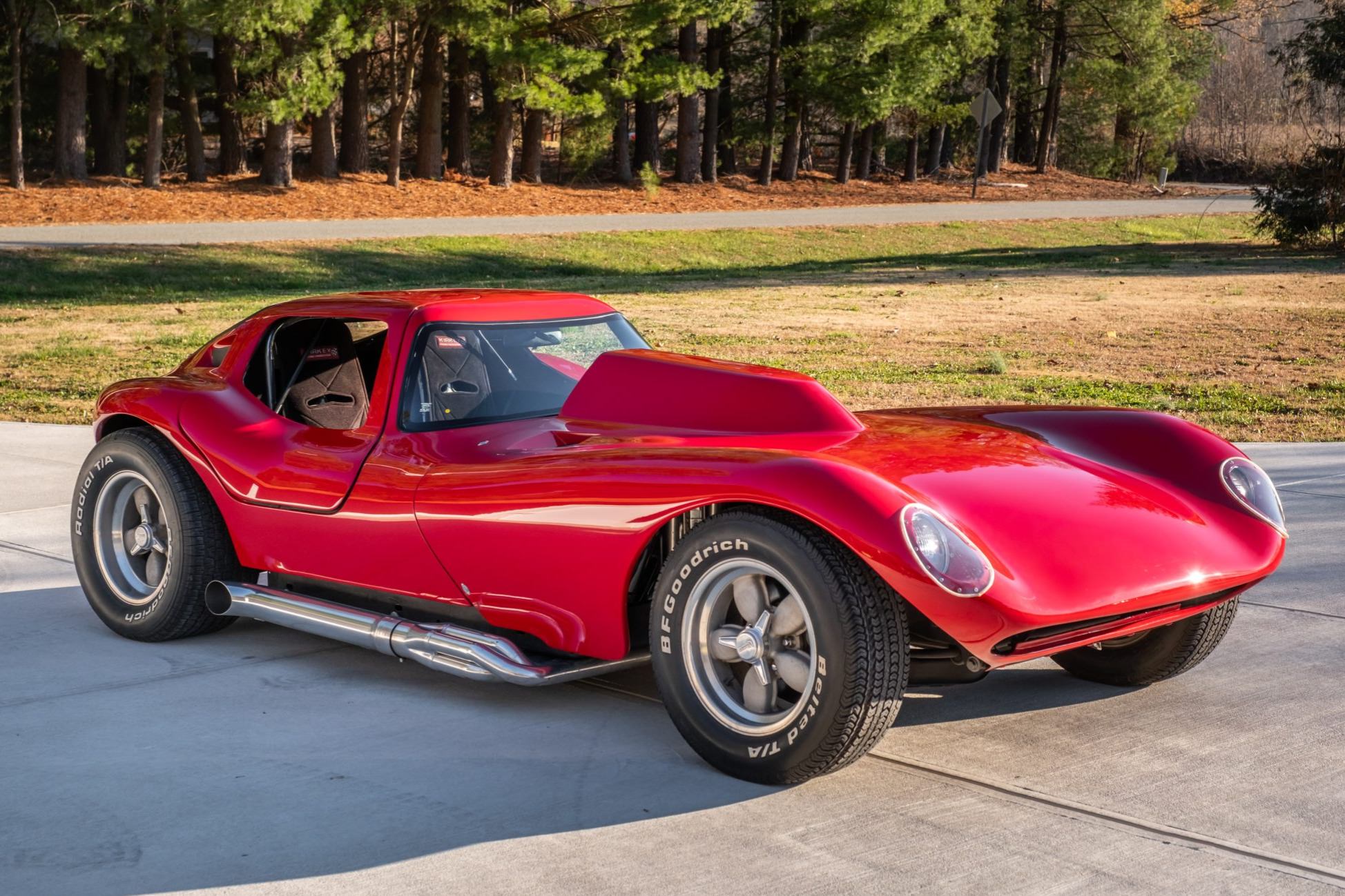 A Bill Thomas Cheetah Clone x Corvette Crossbreed