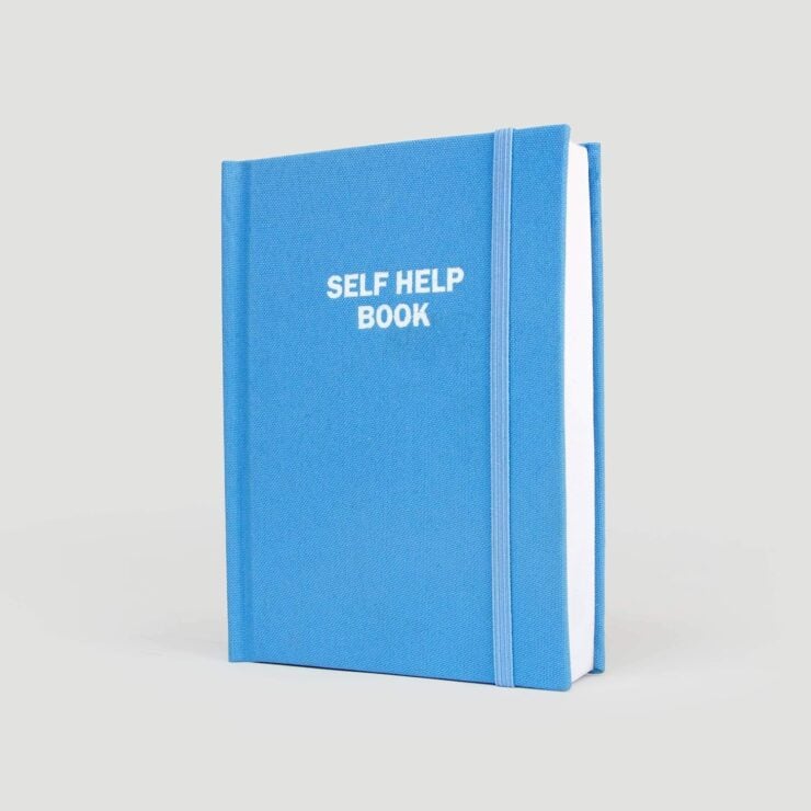 Self Help Book With Hidden Flask 8