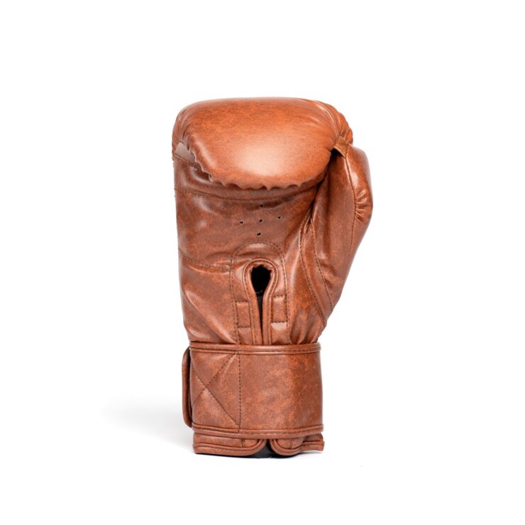 Everlast 1910 Classic Boxing Gloves 2