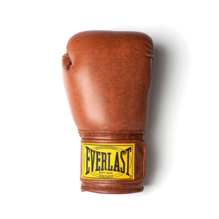 Everlast 1910 Classic Boxing Gloves 3