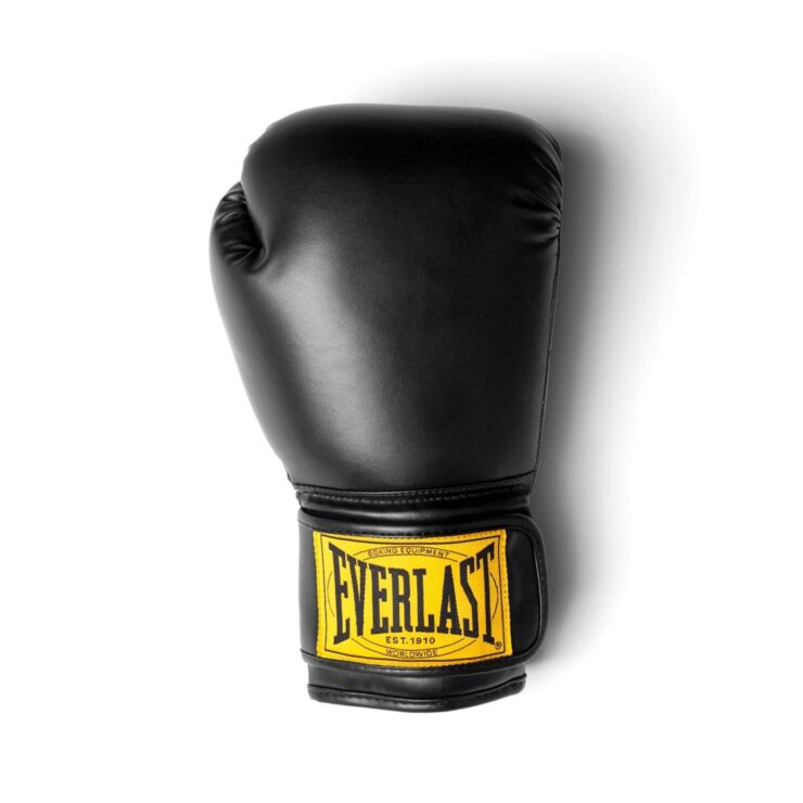 Everlast 1910 Classic Boxing Gloves 4