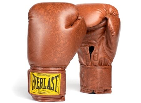 Everlast 1910 Classic Boxing Gloves