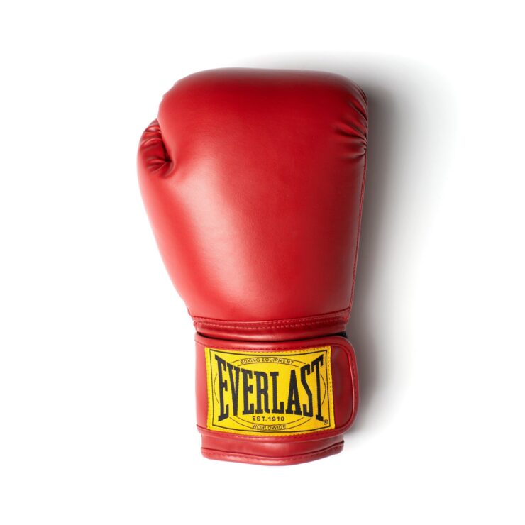 Everlast 1910 Classic Boxing Gloves 5