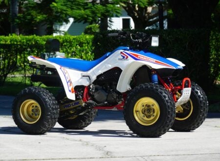 Honda Fourtrax 250R 19