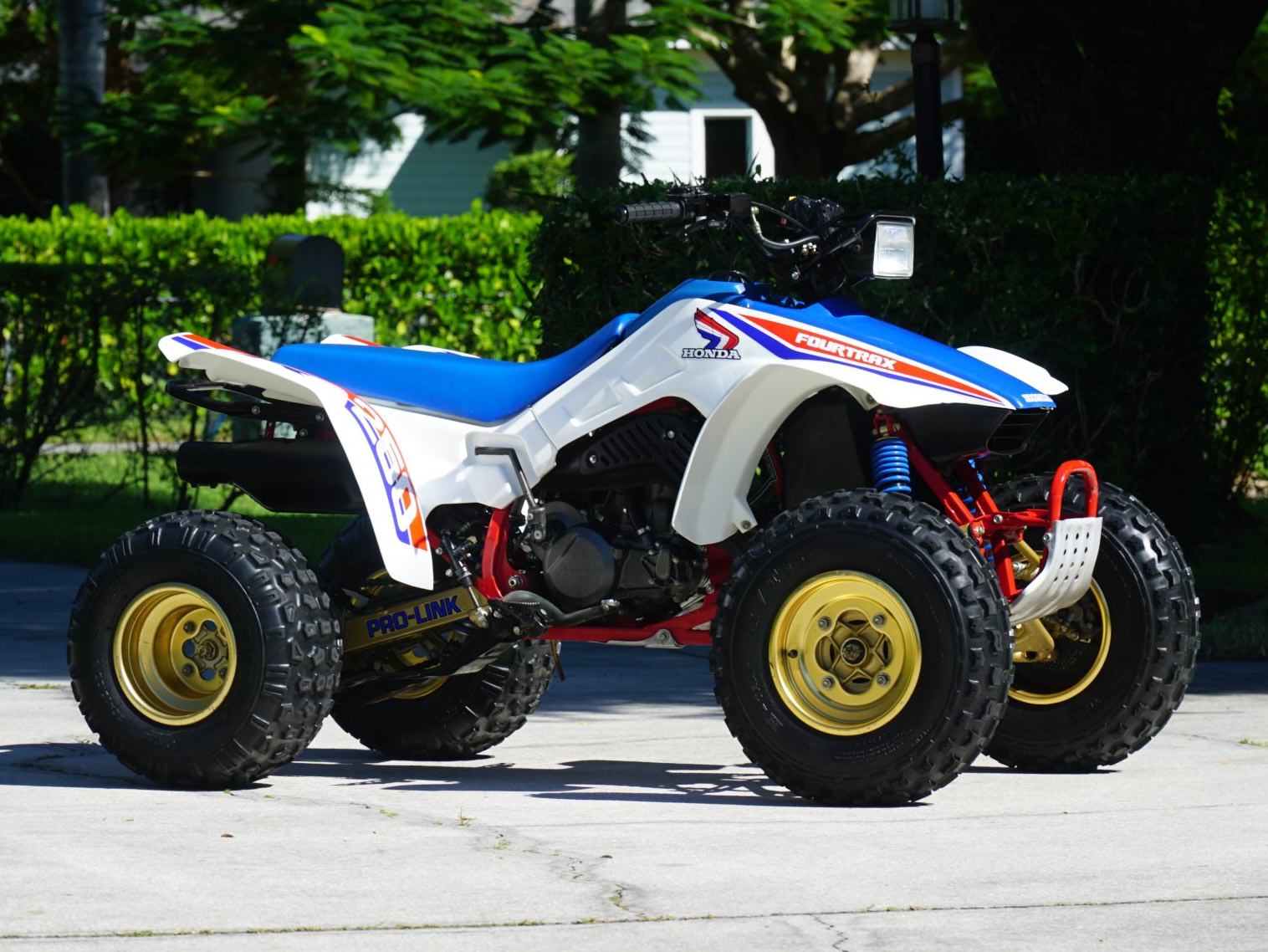 Honda Fourtrax 250R 19