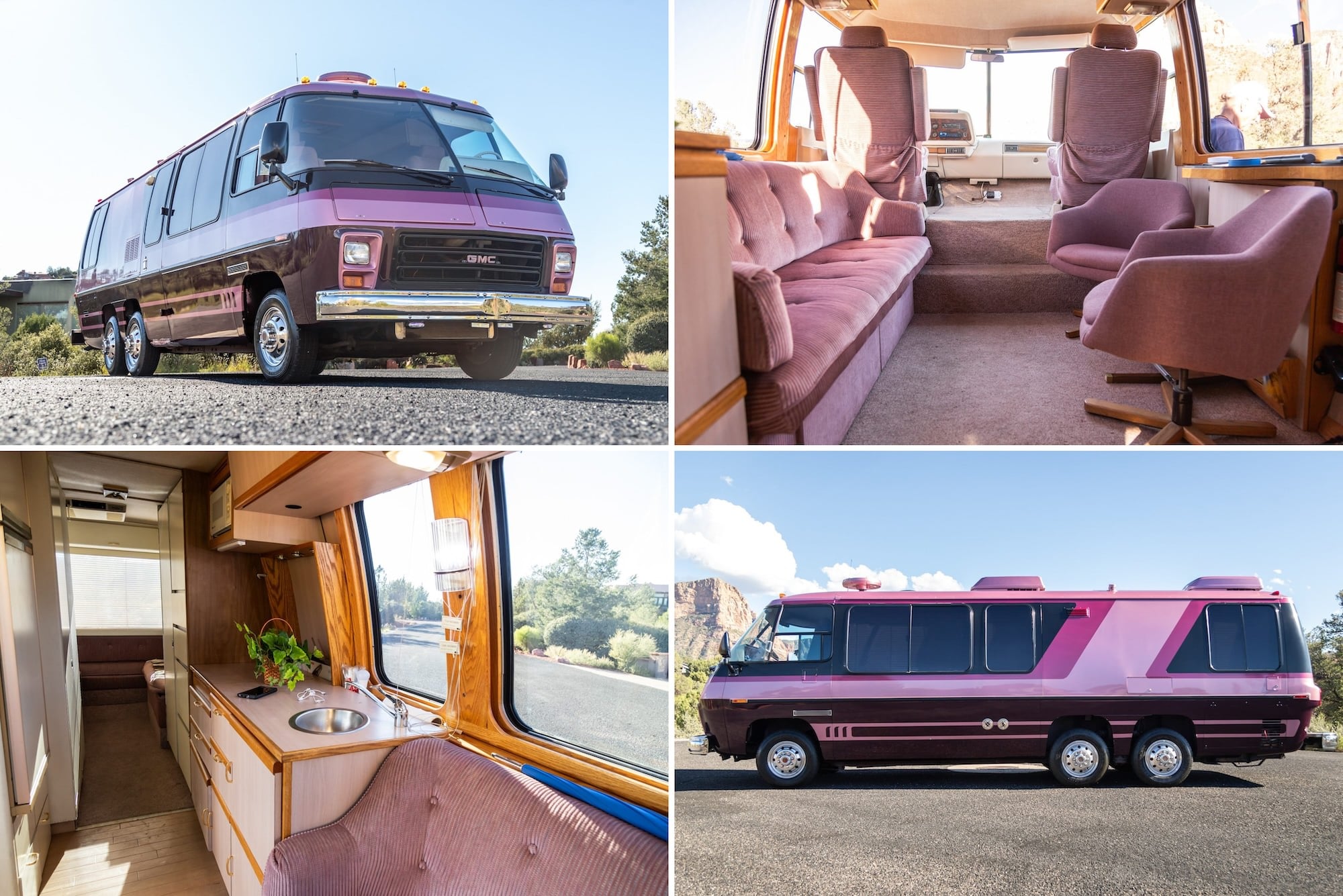 サリー様確認用　GMCモーターホーム イヌ】 GMC MOTORHOME 🍄