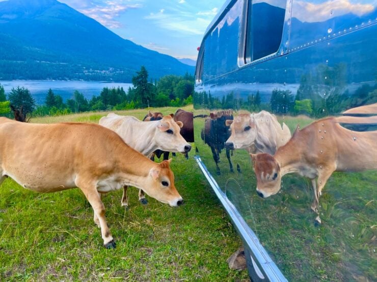 Spartan Manor Model 25 Travel Trailer 21