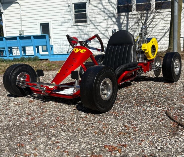 Bug Wasp Go-Kart 6